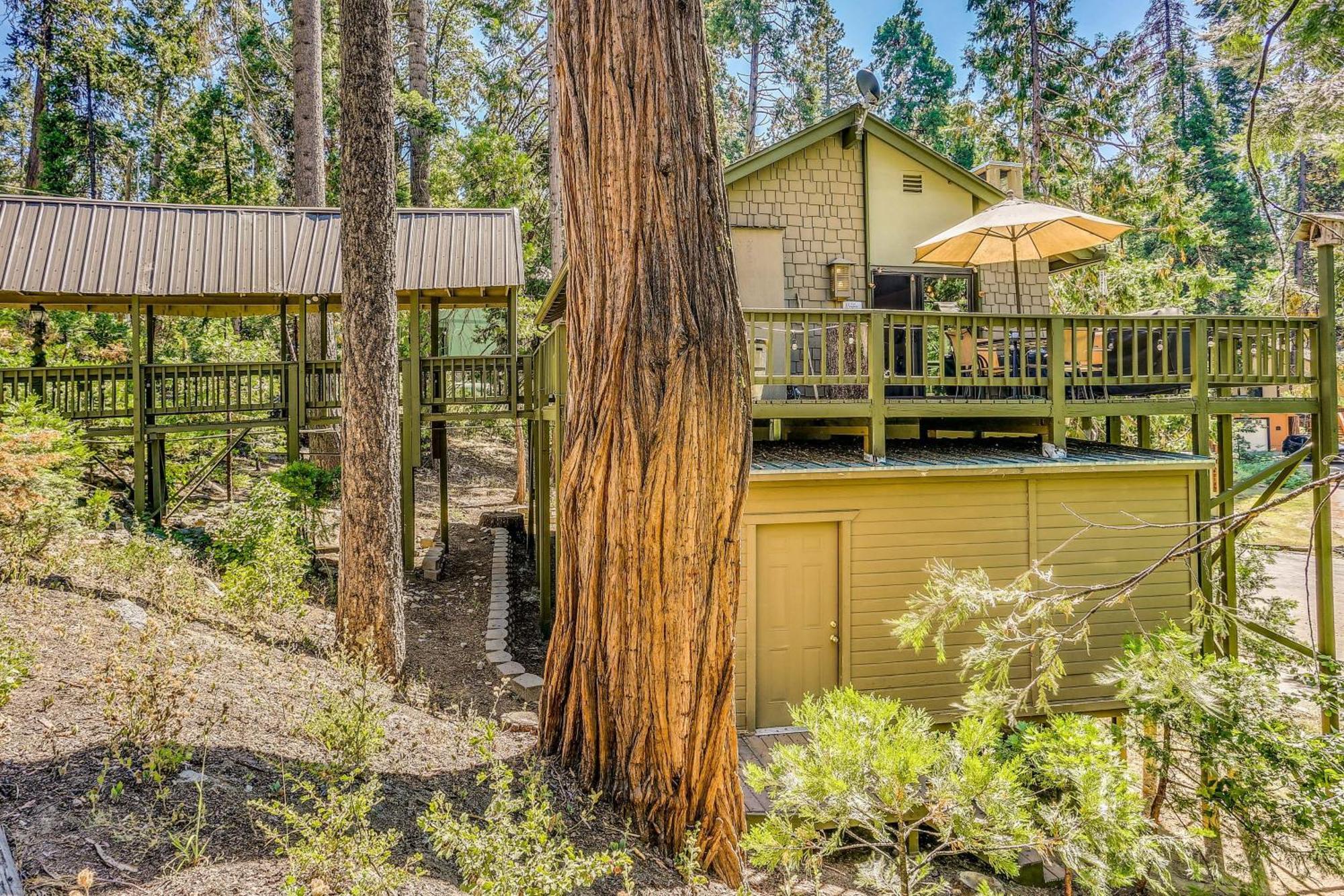 Cozy Bears Hideaway Cabin About 3 Mi To Shaver Lake! Exteriör bild